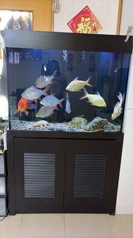 魚缸櫃全套（有生物循環過濾）
