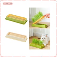 [szxmkj2lp] Seed Sprouter Tray Hydroponic Cat Grass Box Pet Cats Grass Growing Germination Cat Grass