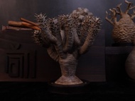 鬼棲閣(中)無葉/仿生植物/塊根/居家擺飾/水泥飾品