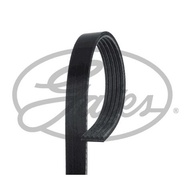 Front Engine Belt BMW X5 E53 4.4i 4.6is M62 2000-2003 TOYOTA CELICA ST202 ST205 3SGE 3SGTE 2.0 16V. 