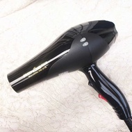 Renjie RCE-2200W 838 High Power Hair Salon Hair Dryer Hair Dryer Hot and Cold Air Hair Salon Househo