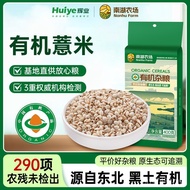 Red Bean Organic Multigrain Barley South Lake Seed Barley Fresh Barley Guizhou Rice Farm Organic Bar