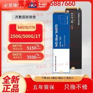 WD西數SN570/770 500G 1T 250G固態M2筆記本臺式機nvme硬盤SSD1tb
