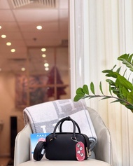 Delvaux mini coolbox