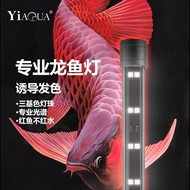 Arowana Special Light Fish Tank Lighting LED Three-Base Color Waterproof Ornamental Light Arowana Br