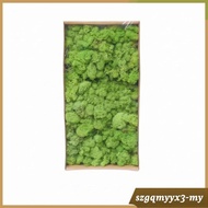 [Toolroom] artificial Foliage Looking Decorative Foliage Dense Reindeer Moss 1 Box