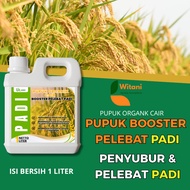 Rice Plant Thickening Fertilizer | Amino Acid Rice Fertilizer 1 Liter | Increase Rice Chicks