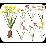 2 Branch Premium Freesia Amaryllis Flower Wedding Home Decor | Bunga Pelamin Murah Hantaran Hiasan R