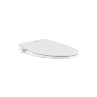 American Standard 1007372080 Smart Manual Bidet