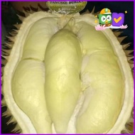 Duren Montong Palu Utuh / Durian Mateng Pohon Original Best Seller