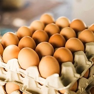 Fresh Chicken Eggs