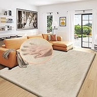Washable Area Rug 6x9 Rugs for Living Room Light Brown Beige Plush Faux Bunny Fluffy Fur Rugs for Be