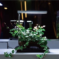 Flat Nano 全光譜LED植物燈 極簡銀 室內植物 辦公室 植栽