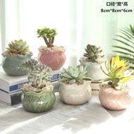 Succulent Flower Pot Ceramic Creative Succulent Large and Small Caliber Set Combination Large Large Gap