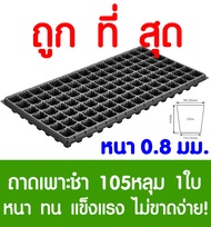 ถาดเพาะกล้า ถาดเพาะชำ 105หลุม 1แผ่น ถาดเพาะต้นกล้า ถาดเพาะกล้า ถาดเพาะต้นอ่อน ถาดเพาะเมล็ด ถาดเพาะข้