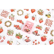 Set of 45 Lovely Strawberry Stickers E113