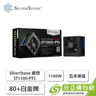 SilverStone 銀欣 1000W (80+白金牌/ATX/全模組/短機身/磁鐵風扇濾網/五年保固)-ST1000-PTS