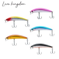 Kingdom VMC HOOKS HMMM50 LURE Bait