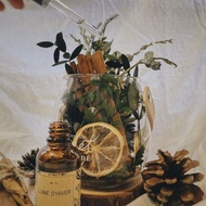 LUNE D'HIVER Fragrance Oil