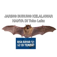 Jaring pengaman Dari burung kalong atau kelelawar bahan bagus kuat Di jamin  barang bagus kaya Arida