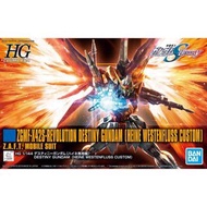 💥限定數量生產 HG HGCE 226 命運高達（ 海涅專用機 ） Destiny Gundam  ( Heine Westenfluss Custom )  ZGMF-X42S-Revolution