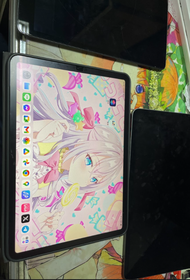 面交iPad Pro 11(2018) 256G 電池89%