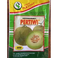 Original Benih Bibit Melon Pertiwi Anvi