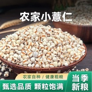 Guizhou Xingren Small Barley Barley Barley Barley Rice New Goods New Rice Barley Barley Italian Rice