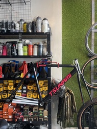 Fixie Tsunami snm100 frame