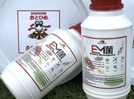 EM Pekat 100% Mikroorganisma Berkesan 浓缩 EM菌 100% Effective Microorganisms Bacteria 浓缩EM菌