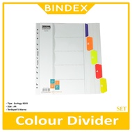 Bindex - Color Divider Ecology 8205 A4 5 Colors - Set