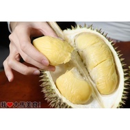 [D24 FRESH DURIAN ]Top Hygiene grade Quality D24 Fresh Durian Pulps