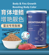 🔥Ready Stock🔥YEE Premium Specialized Channa Brontosaurus Fish Food Boost Body Color High Protein Grow Fins