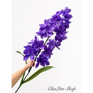 Giant paper flower Lavender