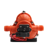 SEAFLO 33 Series 12V SFDP1-028-045-33 3.0-13.2LPM 17-60PSI Diaphragm Pump