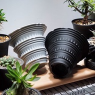 CBP011植木鉢 原創設計/3D列印/多肉塊根植物/盆器盆栽/送禮