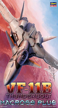 HASEGAWA 1/72 VF-11B THUNDERBOLT