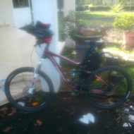Sepeda Gunung Mtb Wim Cycle Adrenaline Xc 1 Raidon Lo Fork Bike