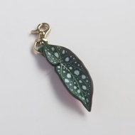 Begonia maculata 圓點秋海棠 皮革黃銅掛飾