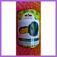 ☑ ❁ ⚾︎ SQUASH HYBRID/ PUMPKIN SEEDS BELLA F1 50GRMS VEGETABLE SEEDS EAST-WEST