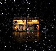 Brick Shine GC Light kit for Lego® Privet Drive: Aunt Marge's Visit 76451(Lego Set is not Included) 