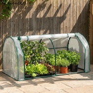 HAVEN Mini Plant Greenhouse, Waterproof Efficient Protect Plant Grow Tent, Portable Transparent Plas