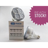 PAR30 LED 30W/ 35W E27 Type Bulb