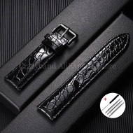 For Omega Crocodile Pattern Leather Watch Band Men Women Butterfly Class Watches Chain 12/14/16/18//