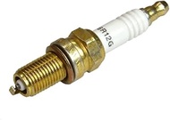 Genuine Harley Gold Spark Plug GOLD 6R12G 32365-04