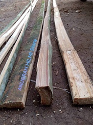 Bilah Bambu Petung Tebal Lebar 4cm panjang 2 meter Bahan arku layangan Sendaren gapangan layangan su