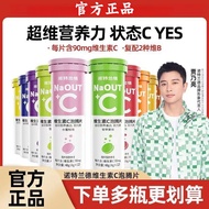 Norland Vitamin C Effervescent Tablets 12 Tablets Fruit Flavor Vitamin C Vitamin b Solid Electrolyte