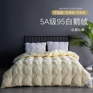 100% pure cotton duvet 95 white goose down spring and autumn thickened warm home double