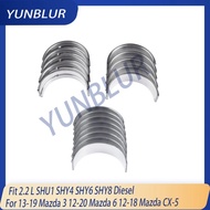 STD Engine Main / connecting rod bearing Set Fit 2.2 L Diesel SHY1 SHY4 SHY6 SHY8 SH-VPTS For 12-21 