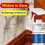 【kjccengbendi.sg】Ceramic and Wall Mildew Remover Home Cleaning Agent